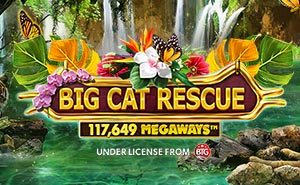 Big Cat Rescue MEGAWAYS