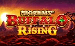 buffalo rising megaways