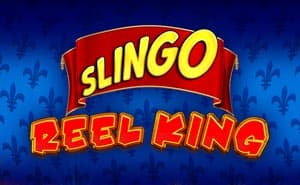 Play free slingo slots for pc